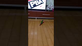 우리집 코뉴어 일상