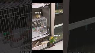 궁금한놈 화내는놈 말리는놈 #shorts