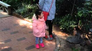 철새조망대 앵무새 말걸기