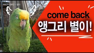 돌아온 앵그리버드 별이 / 아주 간만에 터지는 막말 대…