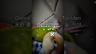 golden #kpop데몬헌터스 #헌트릭스