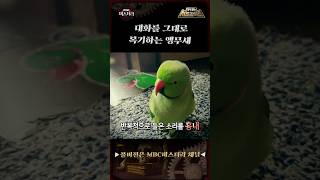 대화를 그대로 복기하는 앵무새 #서프라이즈