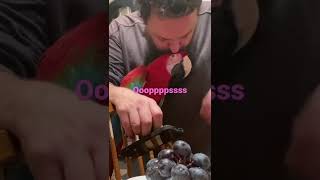 Hilarious reaction of Herbie /…