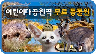[ENG SUB]Seoul Travel Guide Children's Grand Park Station 7호선 어린이대공원역 가볼만한곳 100종류 무료동물원 소개해요