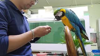 청금강 발목링 교체작업