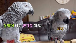 뽀뽀 거절당하고 시무룩한 김루이