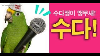 쉴새없이 터지는 수다!/ 수다쟁이 앵무새 / 밤에 놀자…