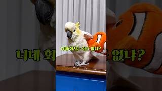 사장님! 우리 누나 야근 시켜주세요!