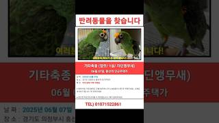 초롱 찾습니다  아이정보와 연락처는 영상 마지막부분에 …