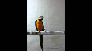 인사성밝은 청금강