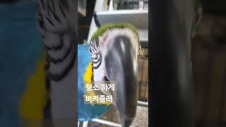 일주일에 한번은 청풍이집 청소 #청금강 #청소