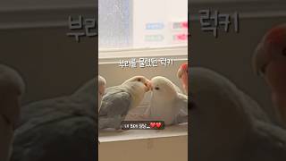 로또의 연상미 폭팔