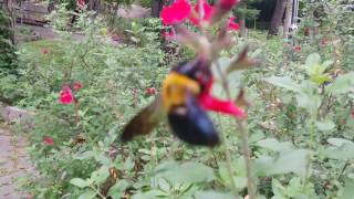 [금정산] 금강공원 등반_ 2016 06 12