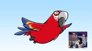 지사동 시즌1 9화 금강앵무의 재능 OP -서넹-