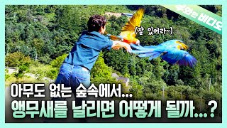 보내도~ 보내도~ 부메랑처럼 돌아오는 앵무새 듀오
