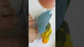 욕심쟁이 썬코뉴어