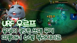 우르프 블라디 강화큐 무적 웅덩이! [떡호떡 우르프모드 urf]