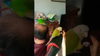 코리&amp;꾸꾸와 함께 할아버지댁에 새해문안인사를 다…