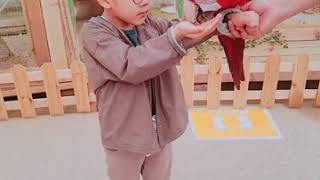 앵무새 밥주기♡