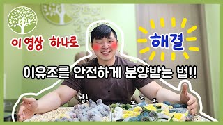 [앵무새키우기]아기 앵무새 분양 고민... 이 영상 하…
