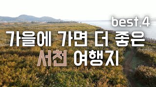 끝없이 펼쳐진 갈대밭부터 즐길거리 다양한 국립생태원까지 충남 서천 가볼만한 곳 추천해 드립니다.