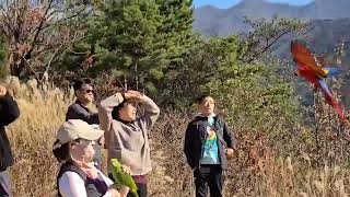 #친구들과 자유비행#이큐(황아마존)과 이든(하이브리드코…