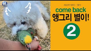 앵그리버드 2탄 / 오빠랑 울다가 싸우다 / 아주 간만…