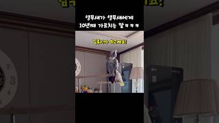 결국 11년차로 넘어가는 최고최고 루이오빠