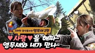 [신비한동식물사전] 새 무섭다던 지명이가 초단시간 앵무…