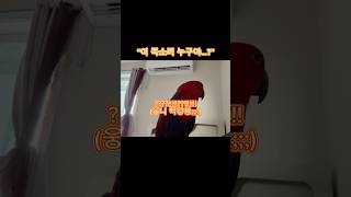 “여자 목소리만 내더니… 남자 목소리?!” 정체는•••…