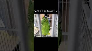 내 나이가 어때서~ (순창앵무새팜)