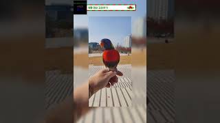 헤헤헤 오늘도 영상 올렸다 헤헤헤