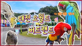#대전오월드 #버드랜드에 다녀왔어요 / 귀한 #밀리터리…