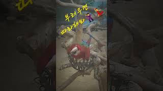 #여름 재촉하는 #비온다고 .   #홍금강앵무