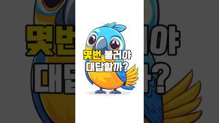 몇 번 불러야 유리가 대답할까? #앵무새소환#유리의대답