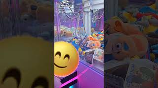 shorts #청금강,홍금강 앵무새.남자와여자.#구독좋…