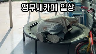 앵무새카페에서 노숙하는 25세 여자알바생