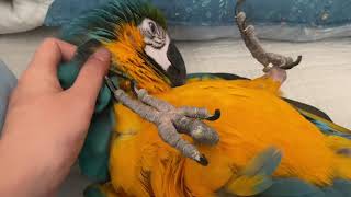 주인만 볼 수있는 모습