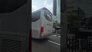 우파앵무새들 in 광화문