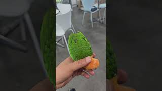 카이큐 . 아주 좋와 죽네 .