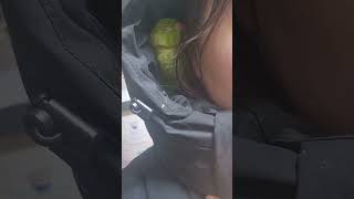 #목도리앵무#집사가 젤 조아#패딩모자