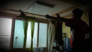 앵무새 코뉴어 녀석들과 놀기!