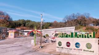 대전오월드 버드랜드 행잉가든, 열대정원, 에뮤동산, 홈…