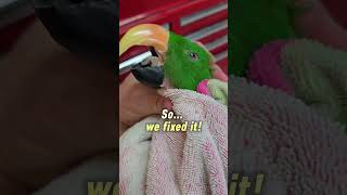 We do grooming and boarding he…