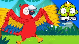 앵무새를 구해줘 | 알랑이 동물구조대 | 깨비키즈 KE…