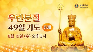 #우란분절 #백중 #천도 #효도 [우란분절 49일 기도 5재] 8월 19일