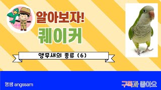 퀘이커 알아보기