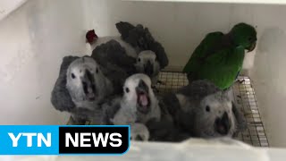 &quot;1마리 3천만 원짜리...&quot; 멸종위…