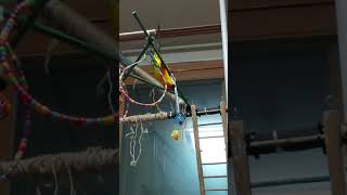 썬코뉴어 다스입니다