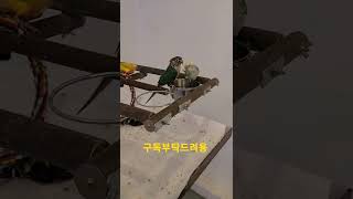 시원하게 목욕하는 앵무새들 1 #shorts